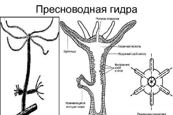 Омг онион ссылка